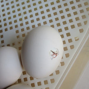 Projekt im März und April 2019