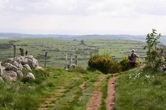 Aubrac. © Hans-Jakob Weinz/flickr.com