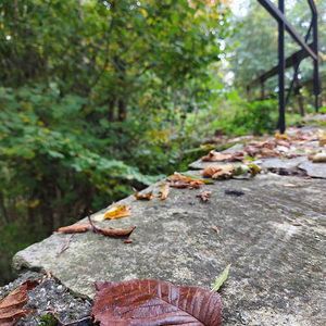 kfb Wallfahrt 2022 - 8. Oktober 