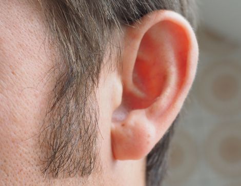 Die Perle des (Zu-)Hörens / © pixabay.com/CC 1.0 Die Perle des (Zu-)Hörens