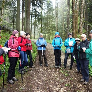 Pilgerwanderung 2017