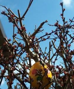 Osternacht und Ostersonntag 