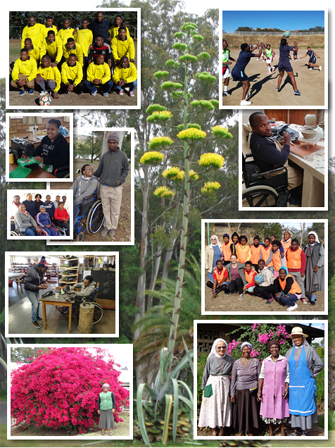 © Ikhwezi Lokusa Rehab