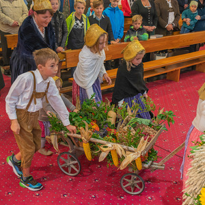 Die Kinder der Trachtengruppe mit dem geschmückten Leiterwagen