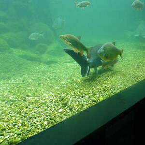 Ministrantenausflug 2018