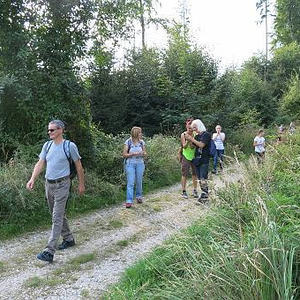 Naturerlebnisweg Pfarrwald Vöcklabruck