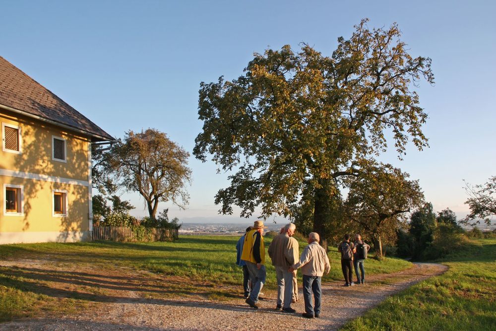 Personen auf dem Weg durch die Pfarre Dörnbach