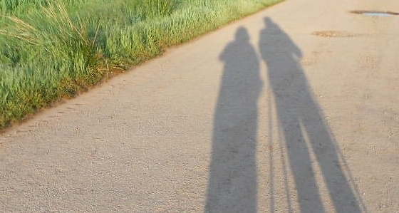 Pilgerschatten. © Herbert Schiller