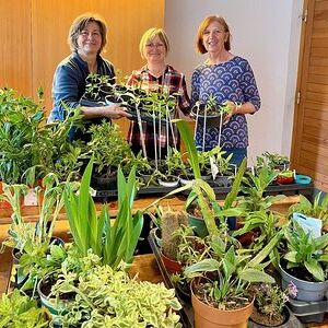 Die Pflanzenspenden wurden am Samstag entgegengenommen.