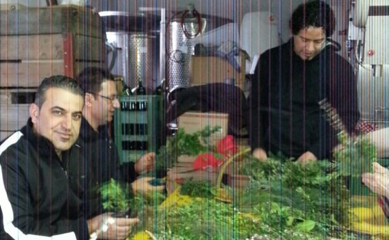 Palmbuschenbinden des Eine-Welt-Kreises