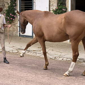 2019 - Pilgerreise Normandie