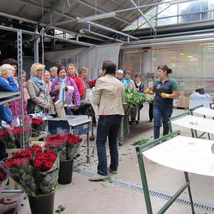 Pfarre Neumarkt im Mühlkreis