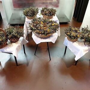 Maria Himmelfahrt 2023