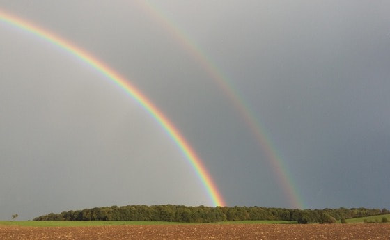 Regenbogen