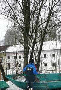 Vorbereitung - Palmbuschen