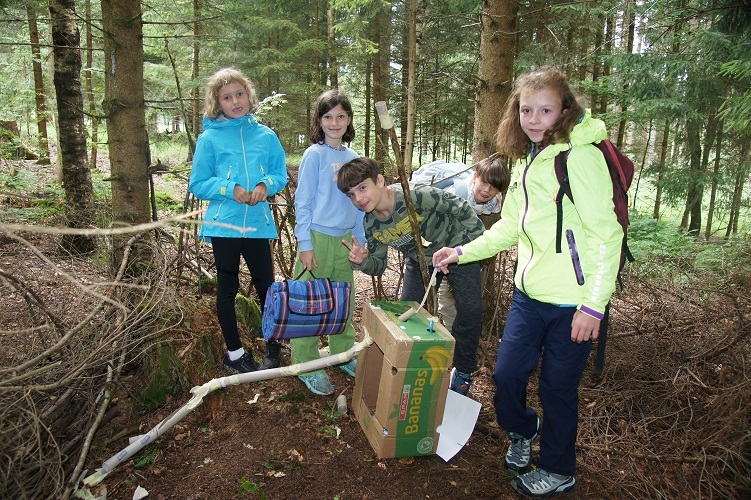Gemeinsam machen wir den Dschungel unsicher!                   