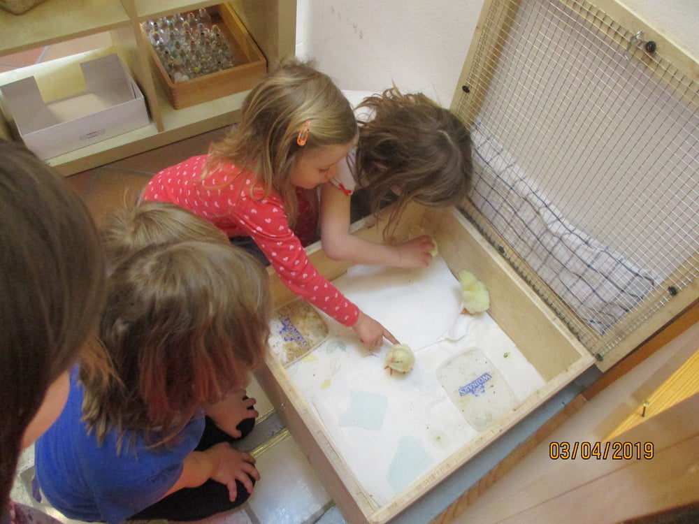 Projekt im März und April 2019