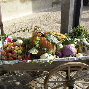 Erntedankfest am 28.9.2014