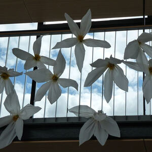 Ausflug zu Moses nach Taufkirchen an der Pram