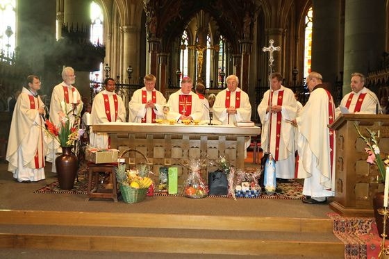 Sonntag der Völker im Linzer Mariendom