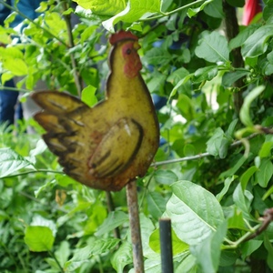 Pilgerwanderung 2019