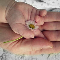 Eltern-Kind-Runde / © Blanka/pixabay.com/CC0 1.0 Eltern-Kind-Runde