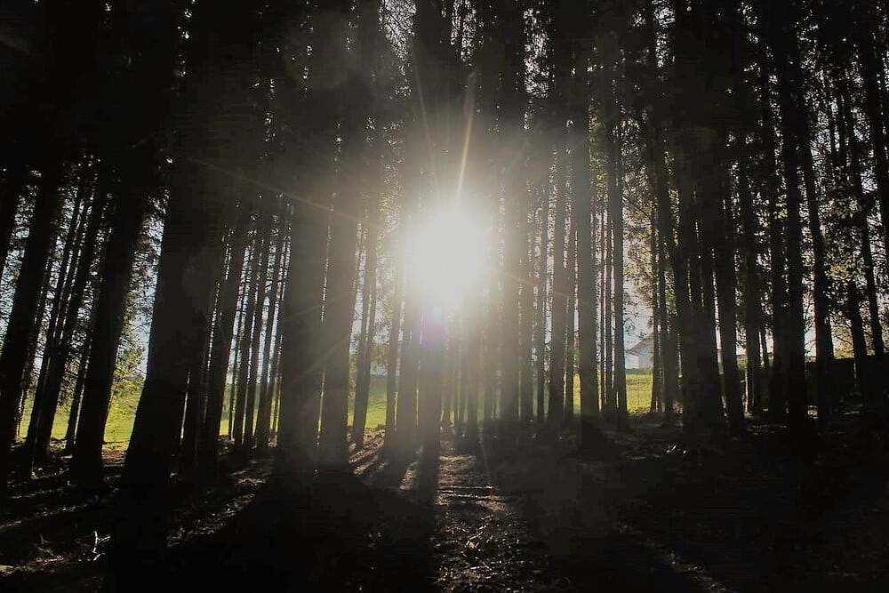 Sonnenaufgangswanderung