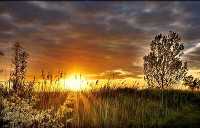 Sonnenuntergang