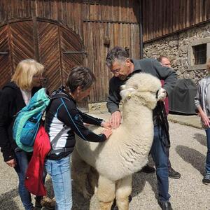 Pilgerwanderung 2022