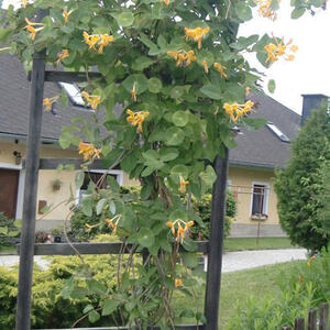 Bittmesse am 01.06.2011