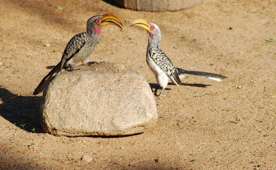 'Teilen macht stark!'