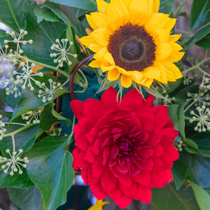 Erntedankfest in der Pfarre Kirchdorf an der Krems