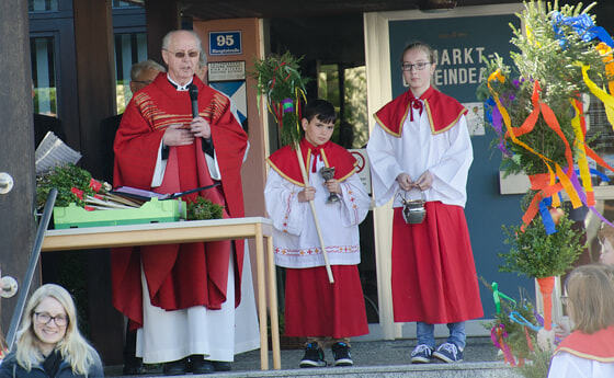 Palmsonntag 2017 - Einzug