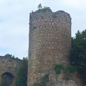 Pfarre Neumarkt im Mühlkreis