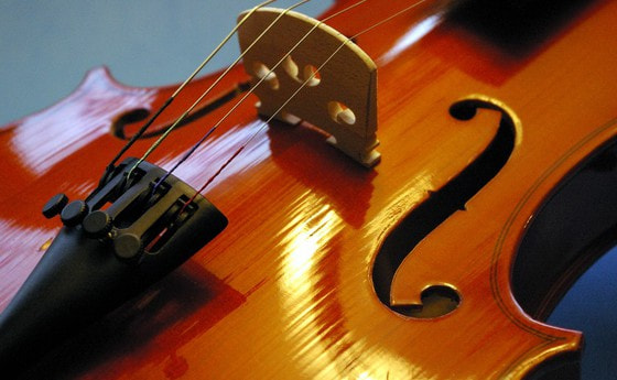 Detailaufnahme einer Violine. / © earl53/morguefile.com Detailaufnahme einer Violine.