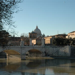 Rom - Christbaum für Papst