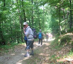 Bergmesse Kerzenstein