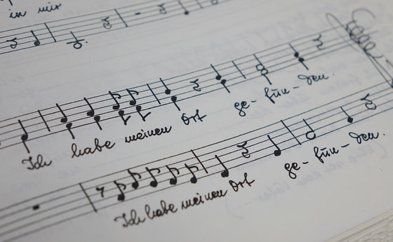 Wolfgang Fürlinger: „Ich habe meinen Ort gefunden“ / © Diözese Linz/Stefanie Petelin Wolfgang Fürlinger: „Ich habe meinen Ort gefunden“