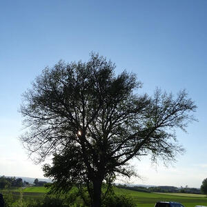 Maiandacht in Gumpling                        