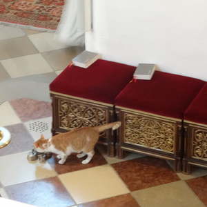 in der Stiftskirche in Schlägl