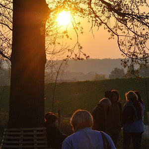 Emmausgang in den Ebelsberger-Traunauen