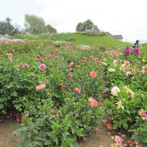 kfb Ausflug 2017 Pfarre Neumarkt im Mühlkreis