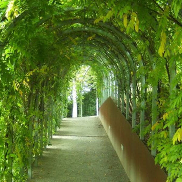 Kirchenchor bestieg einen 900-Meter-Gipfel