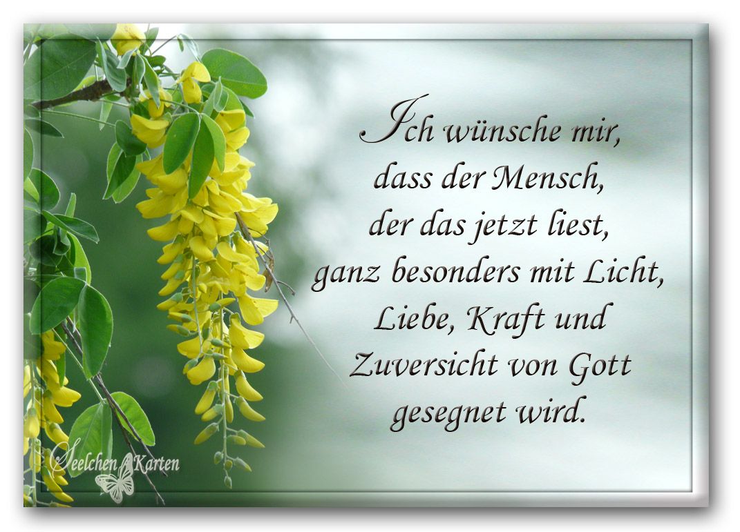 Spruch