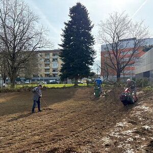 Böschung wird gerichtet für die Rasensaat