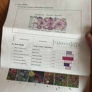 Grabbepflanzung