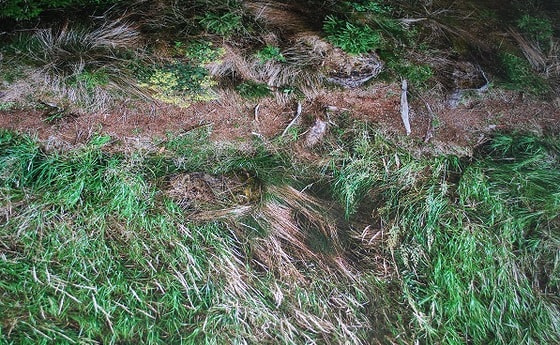 Eine Fotoinstallation für die Pfarrkirche Leopoldschlag