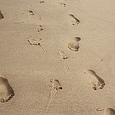 Spuren im Sand