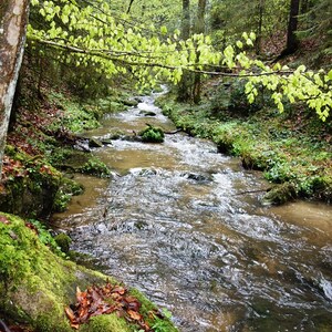 Pilgerwanderung 2017