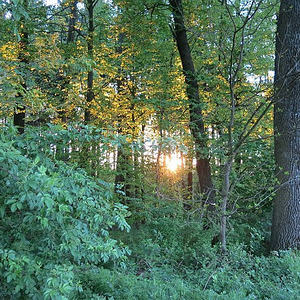 Emmausgang Ostermontag